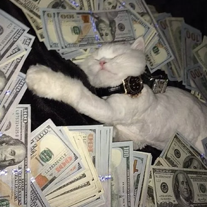 老头肏老太太大屄视频
