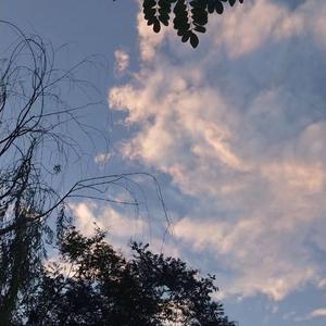 老头肏老太太大屄视频
